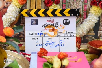 Ismart shankar Movie Launch Photos